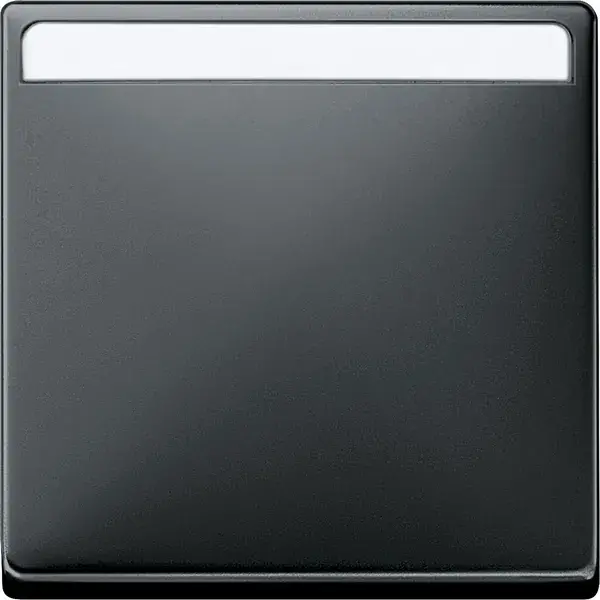 Schneider Electric - 412369 - Rocker with labelling field - 1