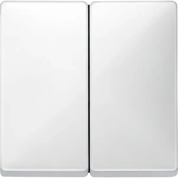 Schneider Electric - 412599 - Rocker for two-circuit switch - 1