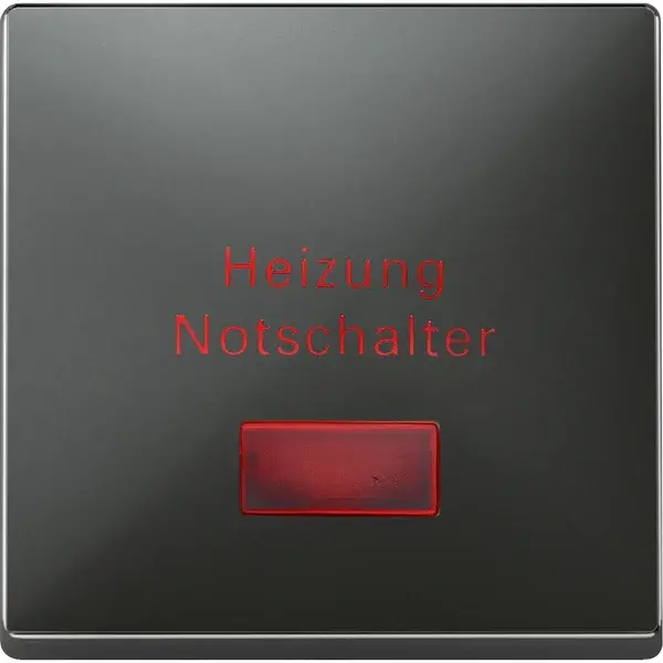 Schneider Electric - 413969 - Rocker for heating emergency switch - 1