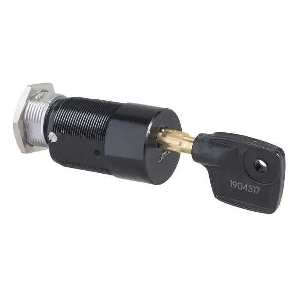 Schneider Electric - 42878 - set of 2 Profalux locks KS5 B24 D4Z - 1