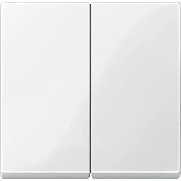 Schneider Electric - 432519 - Rocker for two-circuit switch - 1