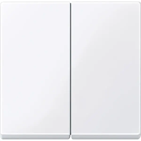Schneider Electric - 432525 - Rocker for two-circuit switch - 1