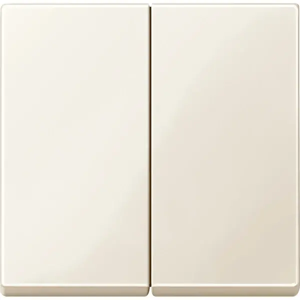 Schneider Electric - 432544 - Rocker for two-circuit switch - 1