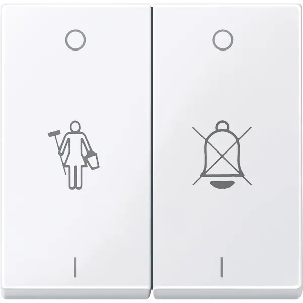 Schneider Electric - 432625 - Rocker for two-circuit switch with impri - 1