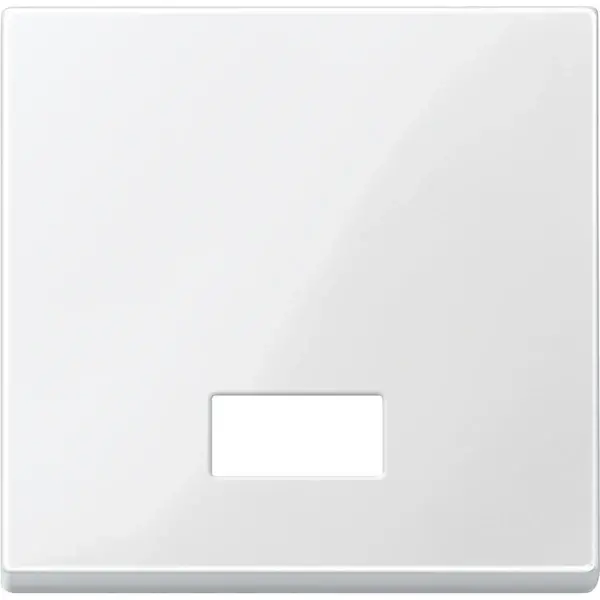 Schneider Electric - 432819 - Rocker with rectangular opening for symb - 1