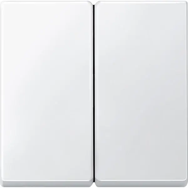 Schneider Electric - 433519 - Rocker for two-circuit switch - 1