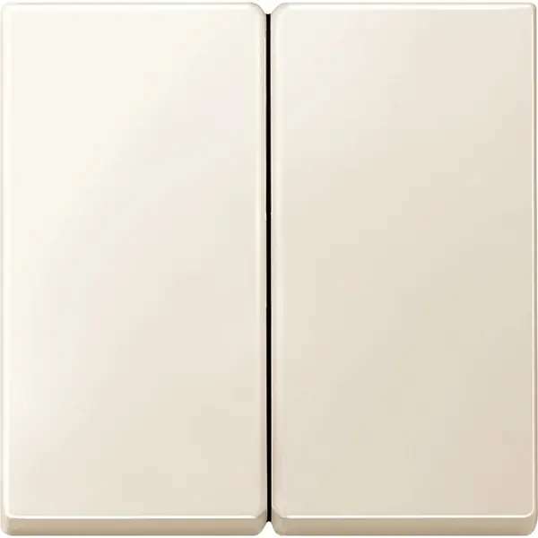 Schneider Electric - 433544 - Rocker for two-circuit switch - 1