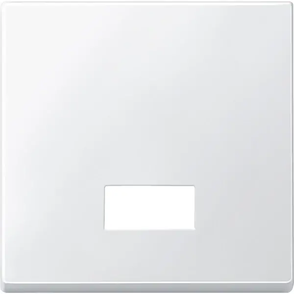 Schneider Electric - 433819 - Rocker with rectangular opening for symb - 1