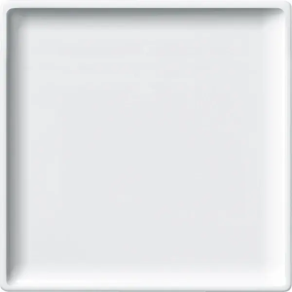 Schneider Electric - 442519 - Central plate for bus terminal switch an - 1