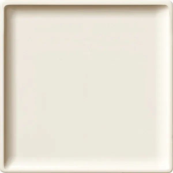 Schneider Electric - 442544 - Central plate for bus terminal switch an - 1