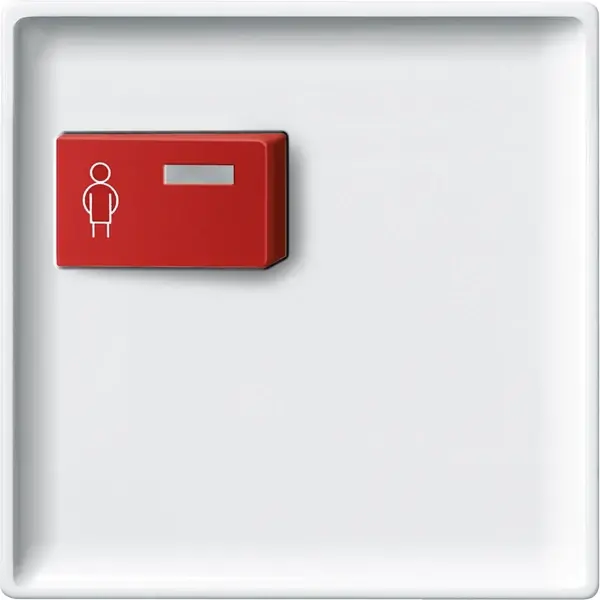 Schneider Electric - 442619 - Central plate for call module with call - 1