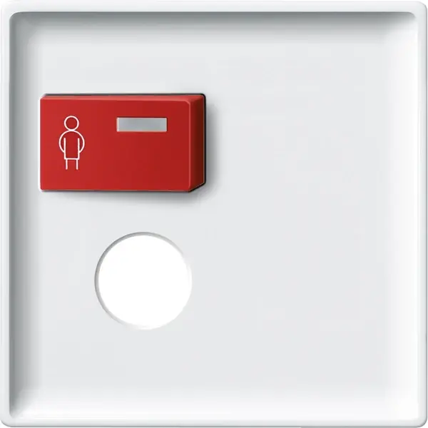 Schneider Electric - 442719 - Central plate for call module with call - 1