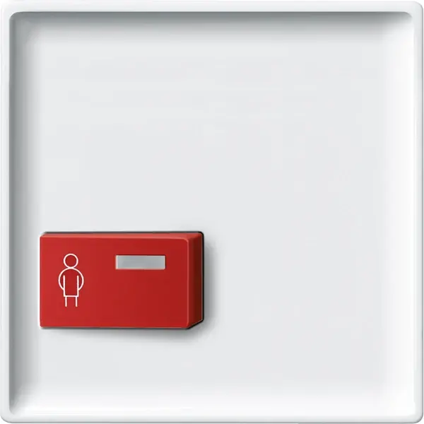 Schneider Electric - 442919 - Central plate for call button - 1