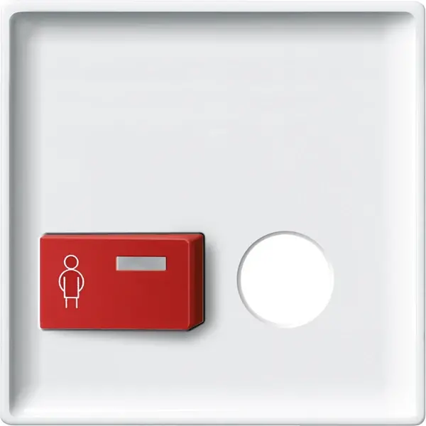 Schneider Electric - 443119 - Central plate for call button with plug- - 1