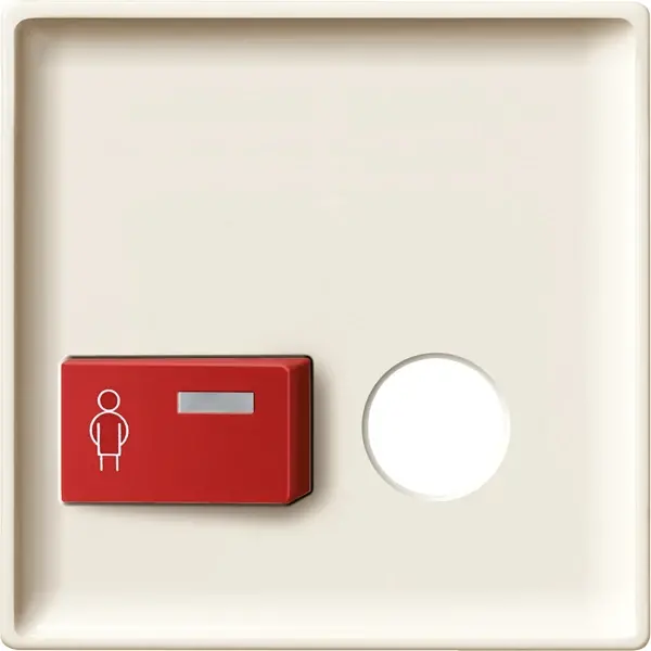 Schneider Electric - 443144 - Central plate for call button with plug- - 1