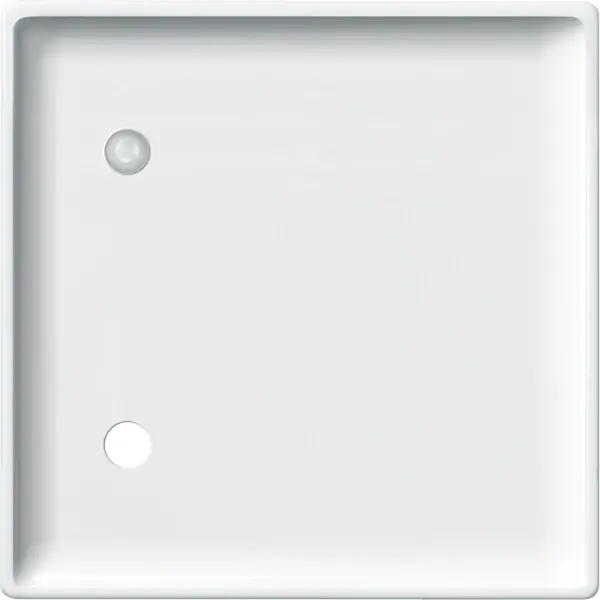 Schneider Electric - 443219 - Central plate for pull-cord switch - 1