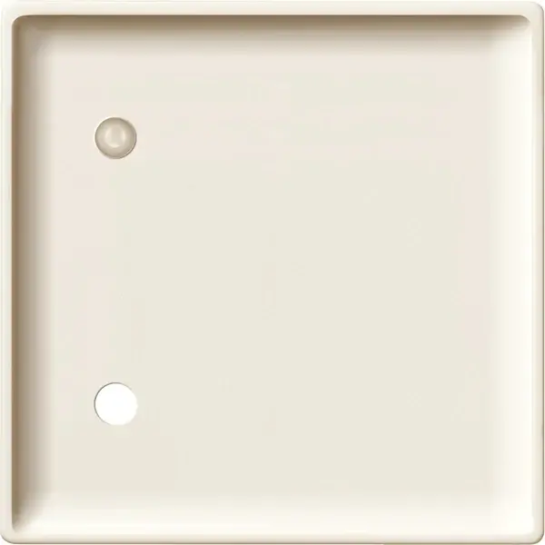 Schneider Electric - 443244 - Central plate for pull-cord switch - 1