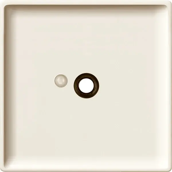 Schneider Electric - 443344 - Central plate for pneumatic call button - 1