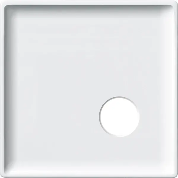 Schneider Electric - 443419 - Central plate for call unit as plug-in c - 1