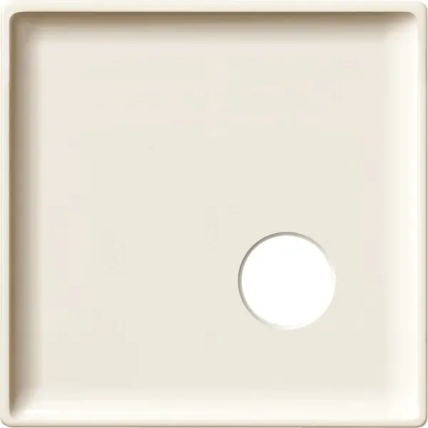Schneider Electric - 443444 - Central plate for call unit as plug-in c - 1
