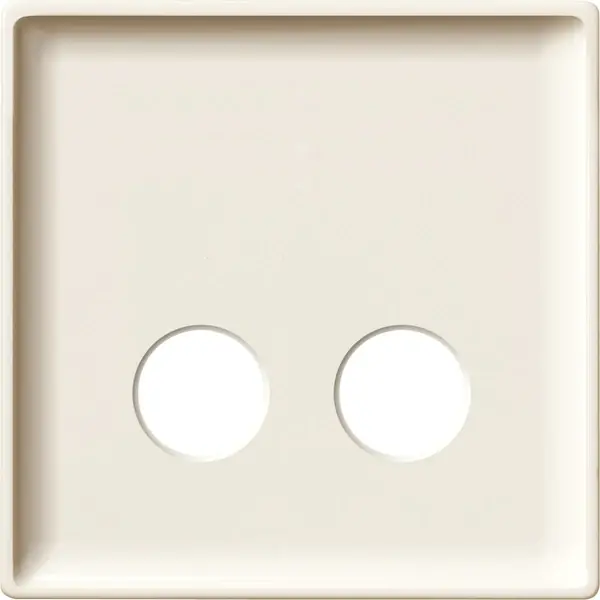 Schneider Electric - 443544 - Central plate for call unit as plug-in c - 1