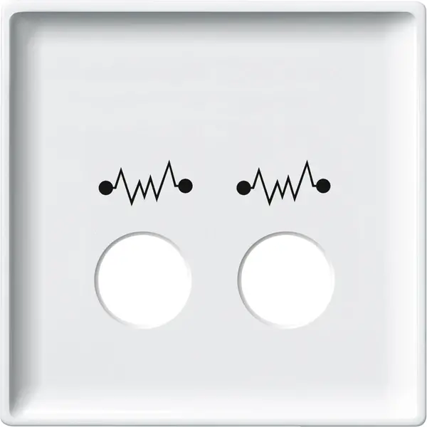 Schneider Electric - 443819 - Central plate for call unit as plug-in d - 1
