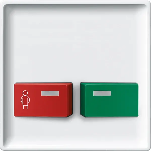 Schneider Electric - 443919 - Central plate for call/cutout button - 1