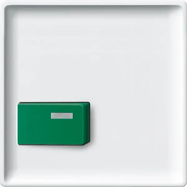 Schneider Electric - 444019 - Central plate for cutout button, green - 1
