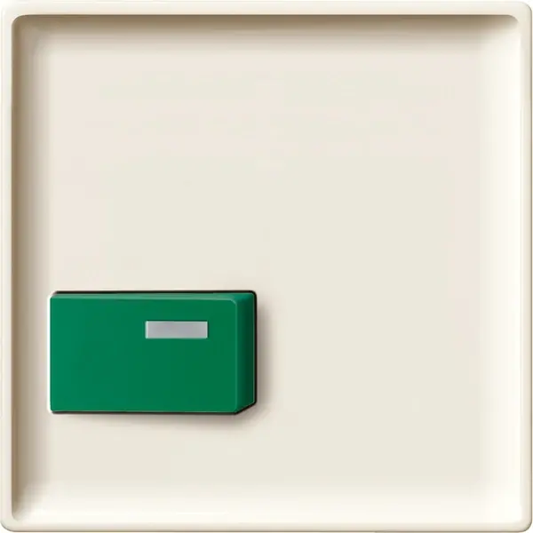 Schneider Electric - 444044 - Central plate for cutout button, green - 1