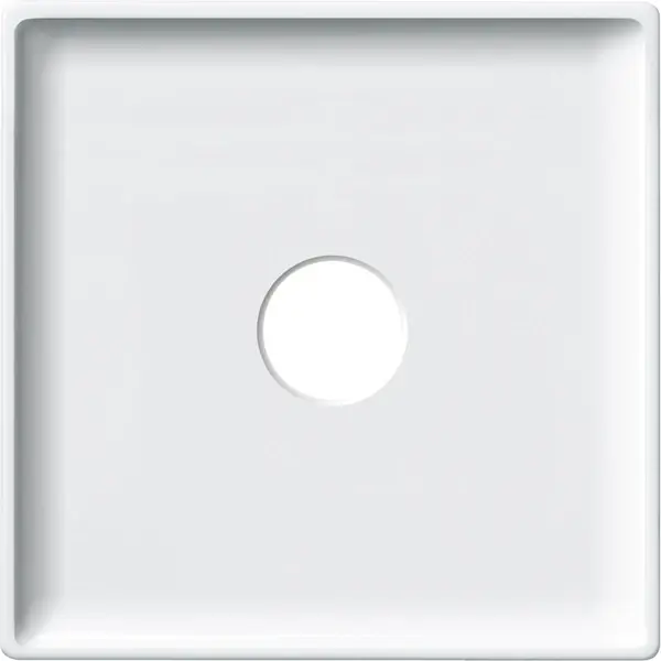Schneider Electric - 444319 - Central plate for bus connection unit - 1