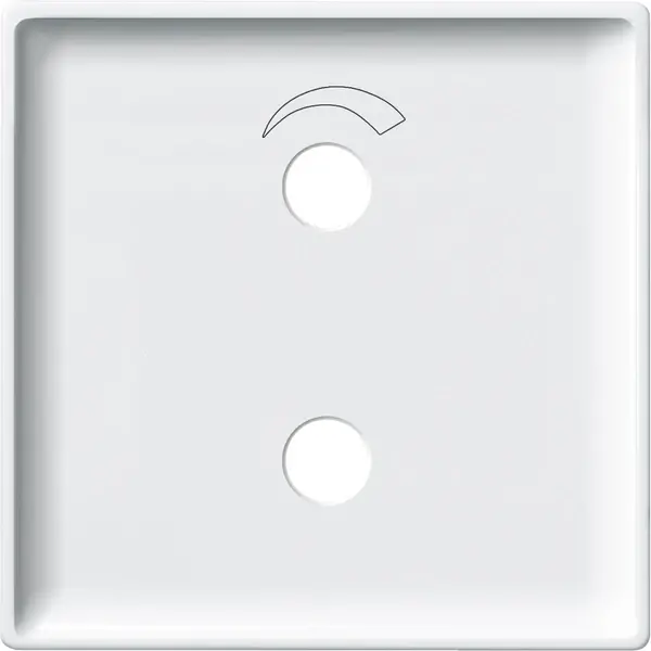 Schneider Electric - 444519 - Central plate for radio unit - 1