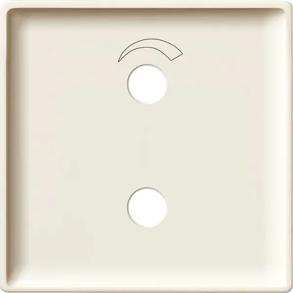 Schneider Electric - 444544 - Central plate for radio unit - 1