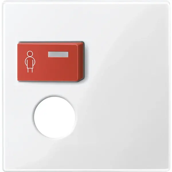 Schneider Electric - 450219 - Central plate for call module with call - 1