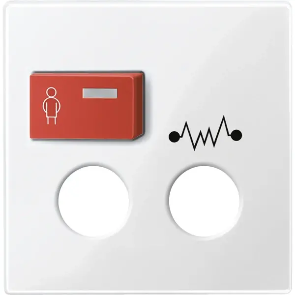 Schneider Electric - 450319 - Central plate for call module with call - 1