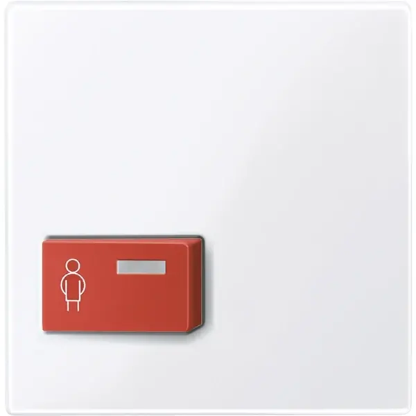 Schneider Electric - 450425 - Central plate for call button - 1