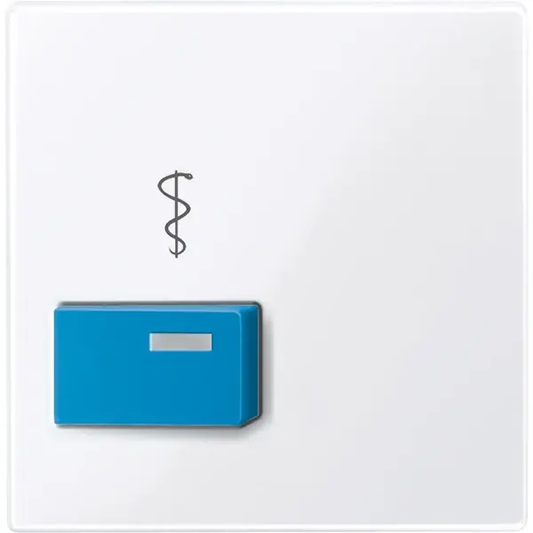 Schneider Electric - 450525 - Central plate for call button/doctor cal - 1