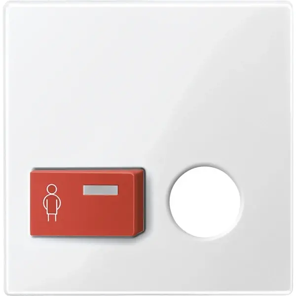 Schneider Electric - 450619 - Central plate for call button with plug- - 1