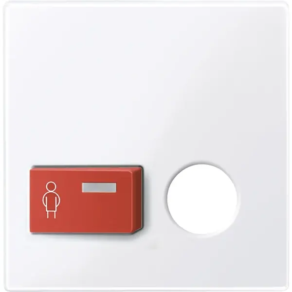 Schneider Electric - 450625 - Central plate for call button with plug- - 1