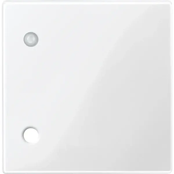 Schneider Electric - 450719 - Central plate for pull-cord switch - 1