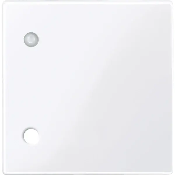 Schneider Electric - 450725 - Central plate for pull-cord switch - 1