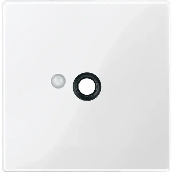 Schneider Electric - 450819 - Central plate for pneumatic call button - 1