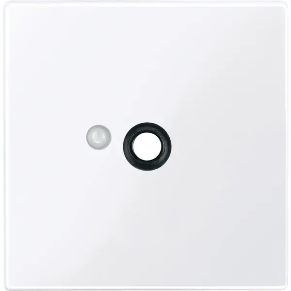 Schneider Electric - 450825 - Central plate for pneumatic call button - 1