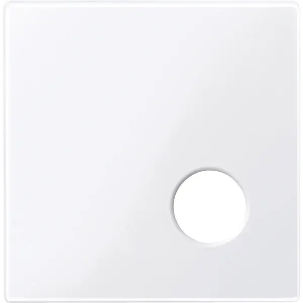 Schneider Electric - 450925 - Central plate for call unit as plug-in c - 1