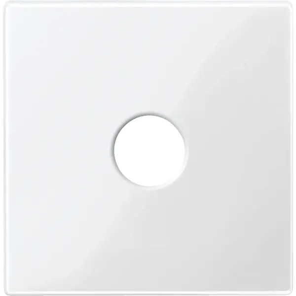 Schneider Electric - 451819 - Central plate for bus connection unit - 1