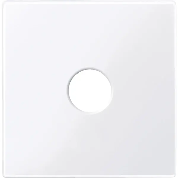 Schneider Electric - 451825 - Central plate for bus connection unit - 1