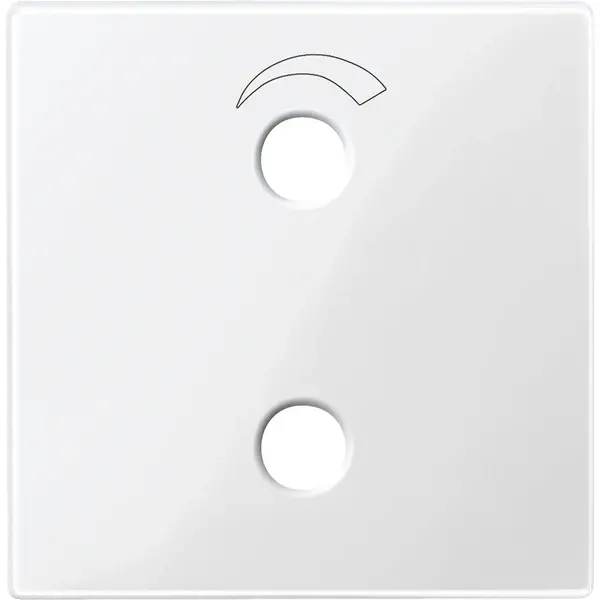 Schneider Electric - 451919 - Central plate for radio unit - 1