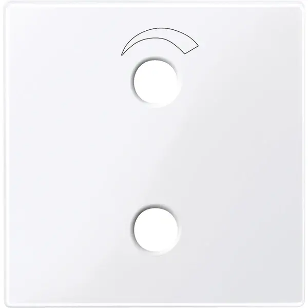 Schneider Electric - 451925 - Central plate for radio unit - 1