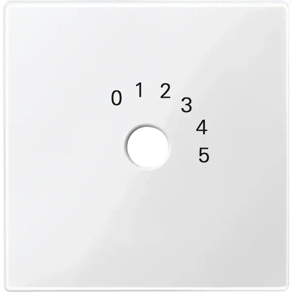 Schneider Electric - 452019 - Central plate for station selection swit - 1