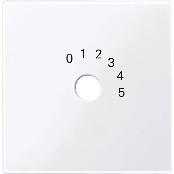 Schneider Electric - 452025 - Central plate for station selection swit - 1