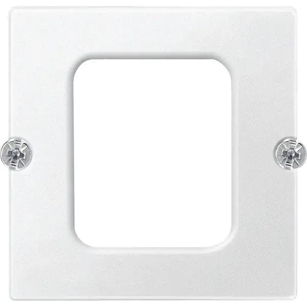 Schneider Electric - 463919 - Central plate for AMP-ACO - 1